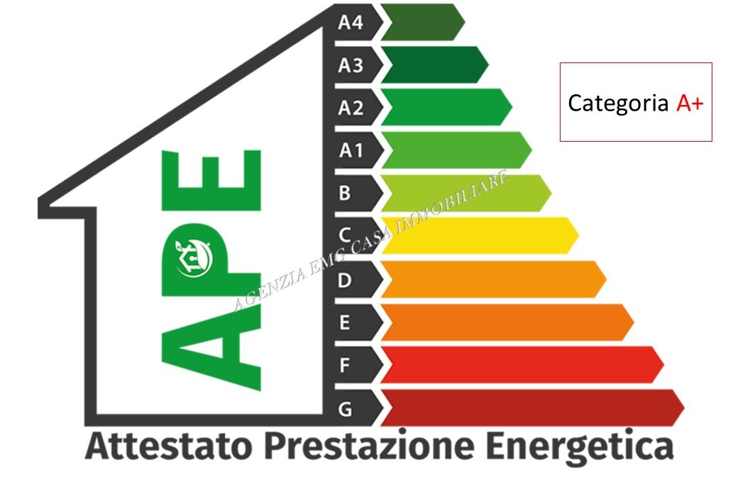Diapositiva24