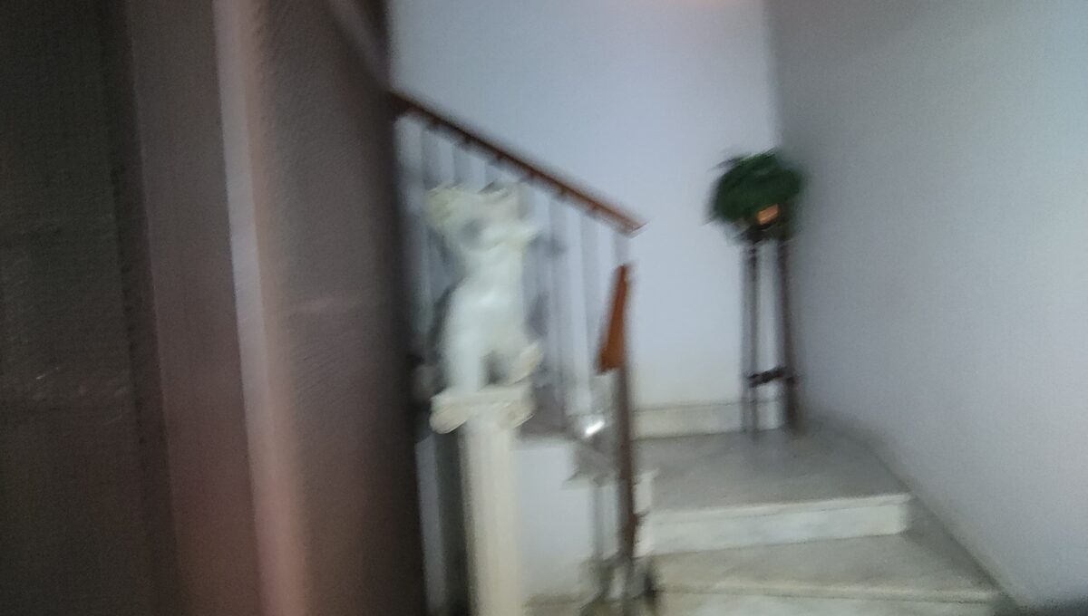 IMG-20250218-WA0018