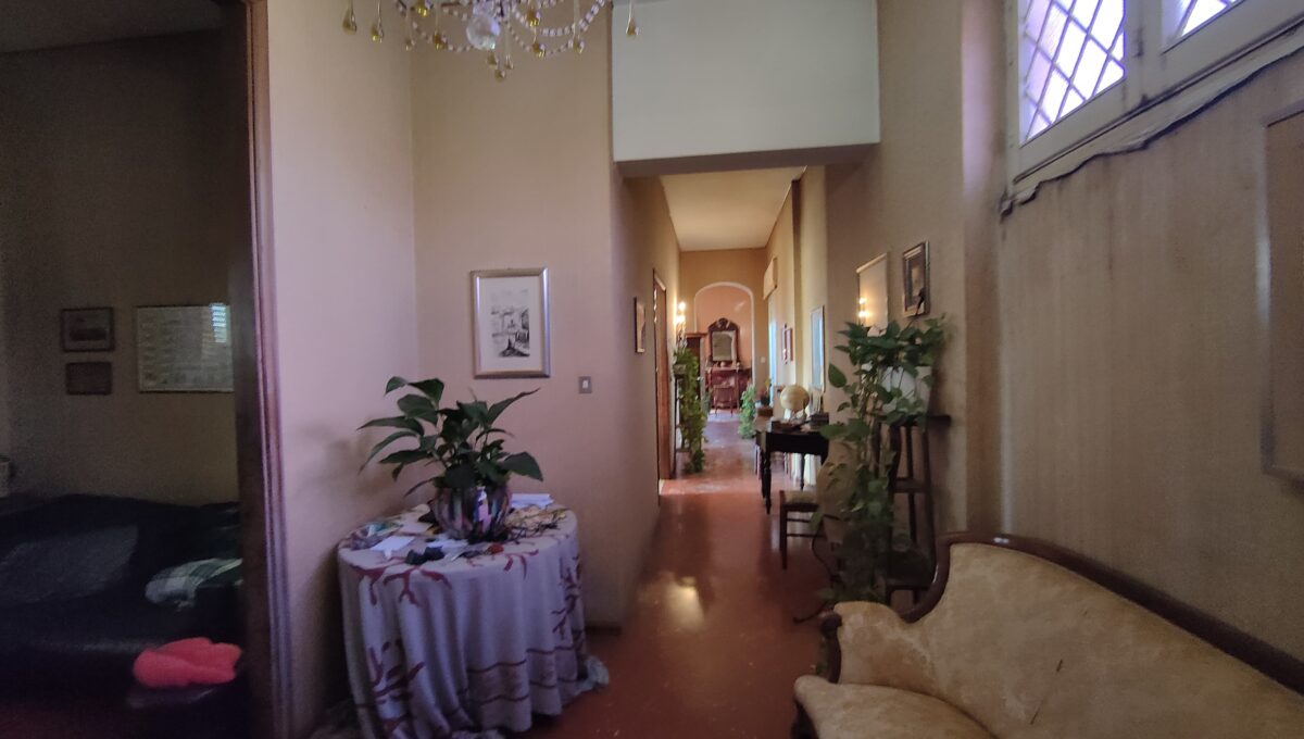 IMG-20250218-WA0076