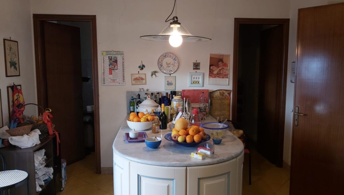 IMG-20250218-WA0181