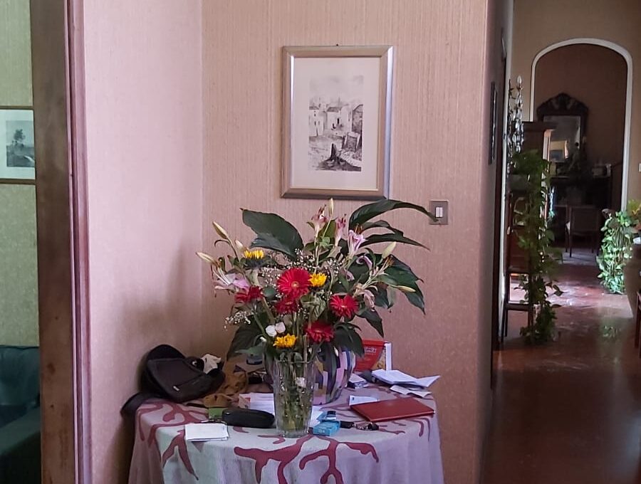 IMG-20250218-WA0187