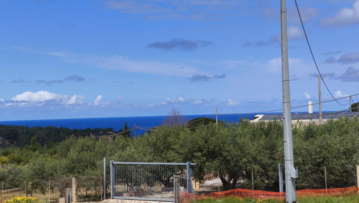 IMG-20250328-WA0017