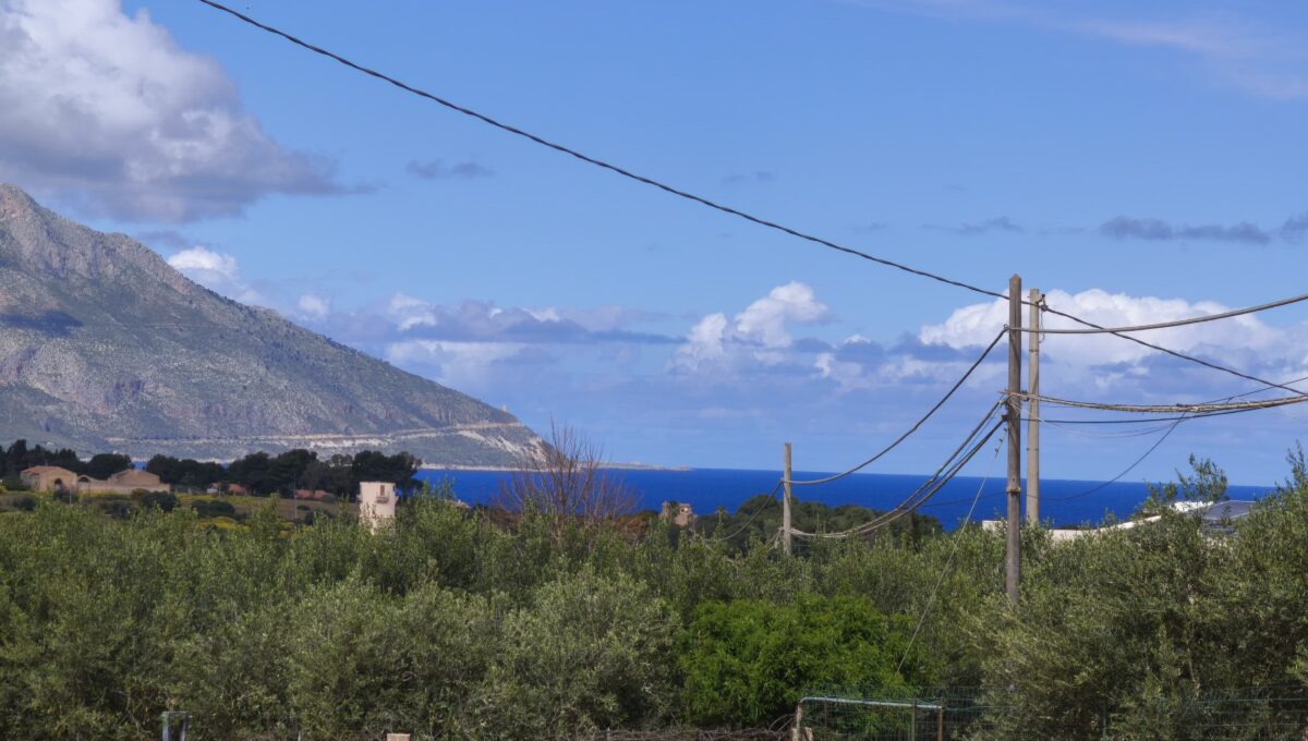 IMG-20250328-WA0024