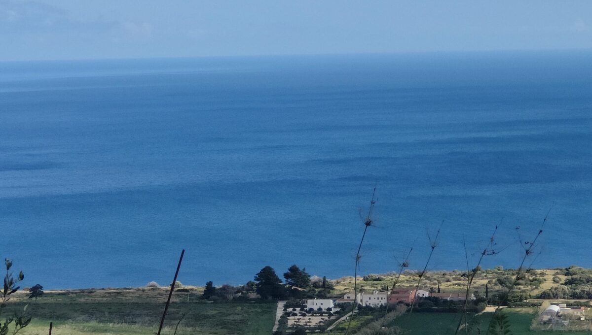 IMG-20250630-WA0006