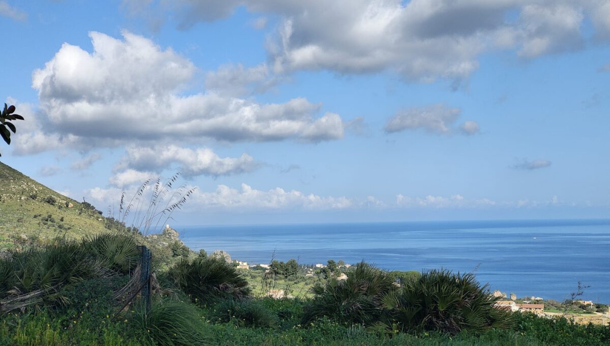 IMG-20250630-WA0007