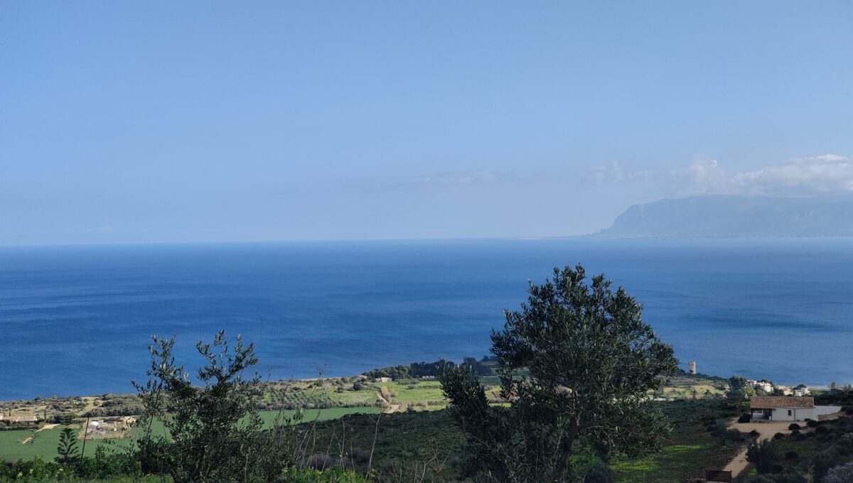 IMG-20250630-WA0011